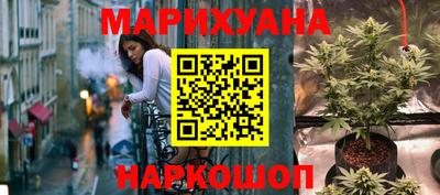 прущие грибы Кандалакша