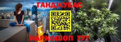 a pvp Камышлов