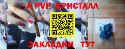 a pvp Камышлов
