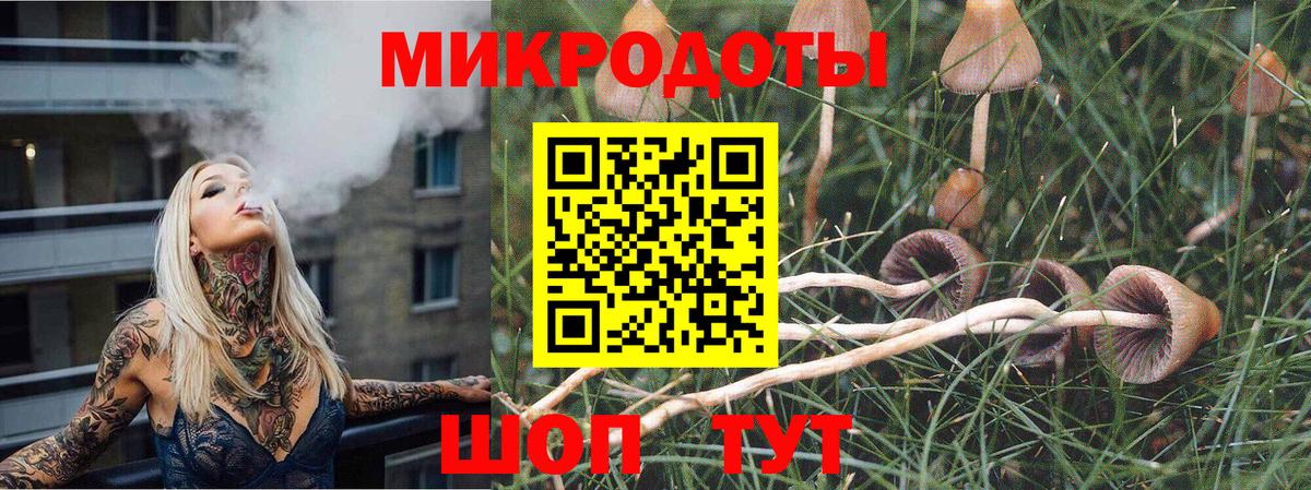 Псилоцибиновые грибы мухоморы  купить наркотик  Галлюциногенные грибы мицелий  Кохма  Вход с VPN 