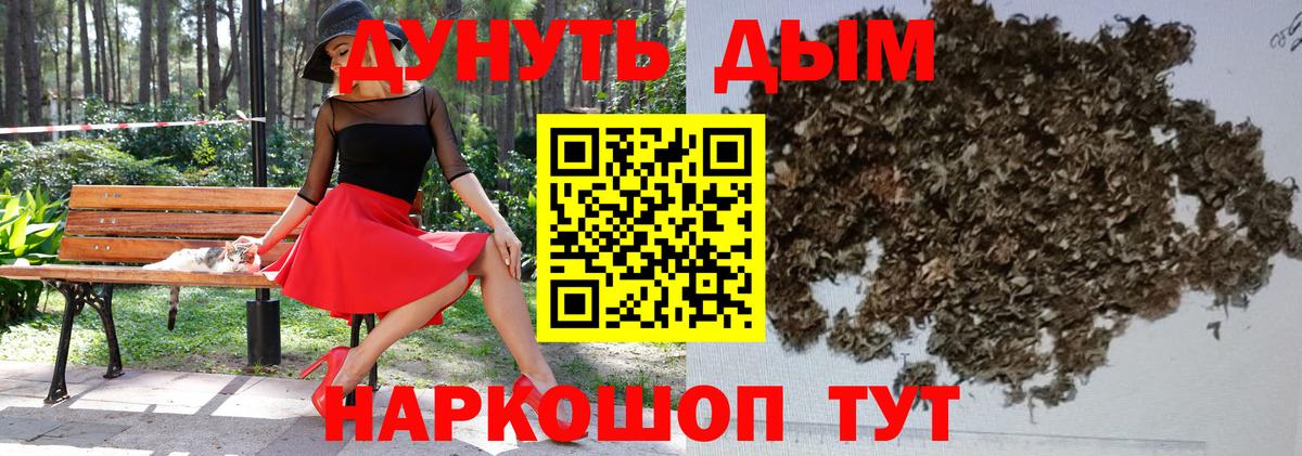 Кохма  МАРИХУАНА гибрид  Канабис план  Марихуана OG Kush  Вход с VPN 